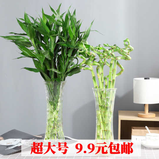 植物花瓶diy 植物花瓶种植 植物花瓶系统 购买 淘宝海外 植物花瓶diy 植物花瓶种植 植物花瓶系统 购买 淘宝海外