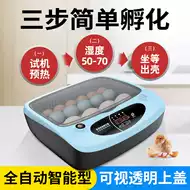 小鸡孵化箱 新人首单优惠推荐 21年6月 淘宝海外