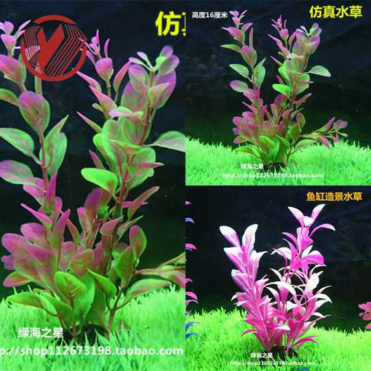 水草及肥料推荐 水草及肥料制作 水草及肥料使用方法 用法 淘宝海外