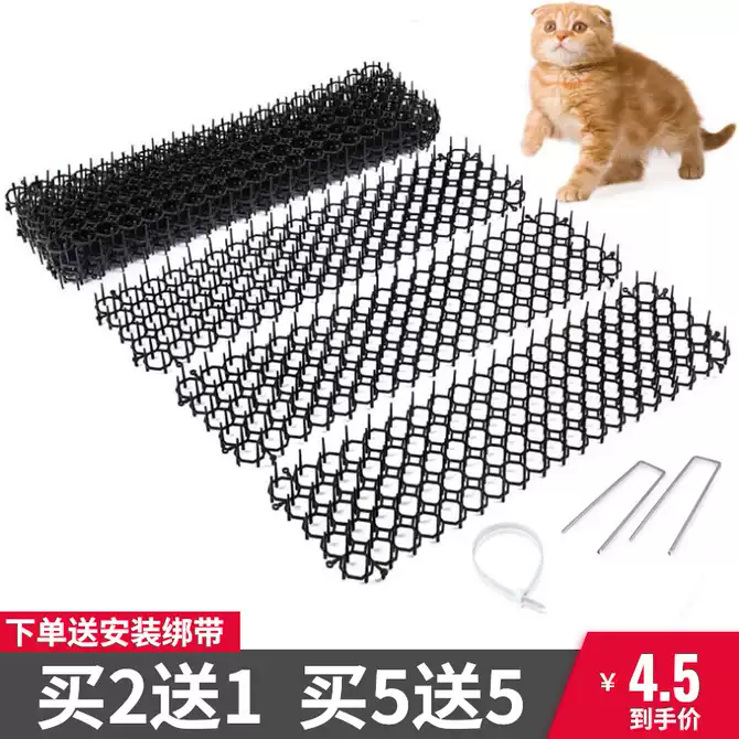 猫花园 新人首单优惠推荐 21年4月 淘宝海外