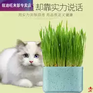 猫草种植花盆 新人首单优惠推荐 21年6月 淘宝海外