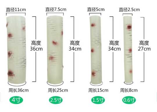 21 白樺樹皮人氣熱賣榜推薦 淘寶海外