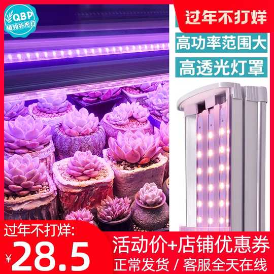 21 Led多肉植物灯人气热卖榜推荐 淘宝海外 21 Led多肉植物灯人气热卖榜推荐 淘宝海外