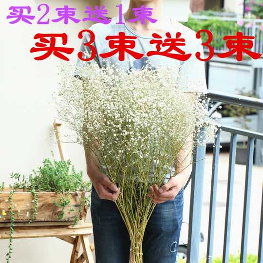 21 仿真花满天星批发人气热卖榜推荐 淘宝海外