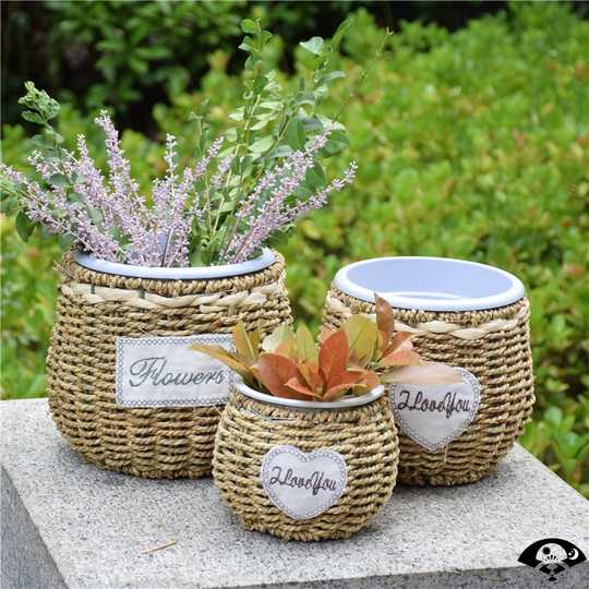 21 多肉植物花瓶人气热卖榜推荐 淘宝海外