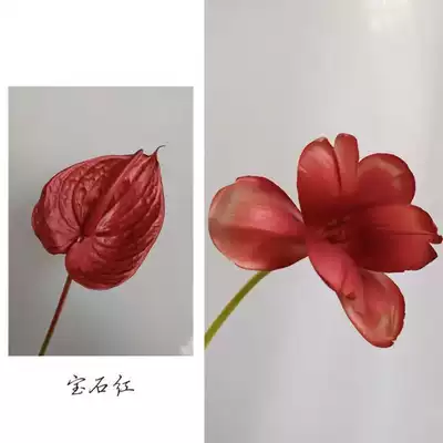 玫瑰花染色剂 新人首单优惠推荐 21年6月 淘宝海外 玫瑰花染色剂 新人首单优惠推荐 21年6月 淘宝海外