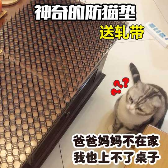 防猫咬植物 新人首单优惠推荐 21年3月 淘宝海外 防猫咬植物 新人首单优惠推荐 21年3月 淘宝海外