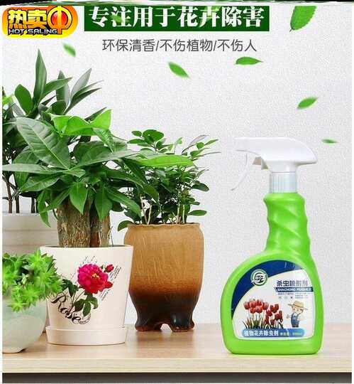 21 盆栽植物杀虫剂人气热卖榜推荐 淘宝海外