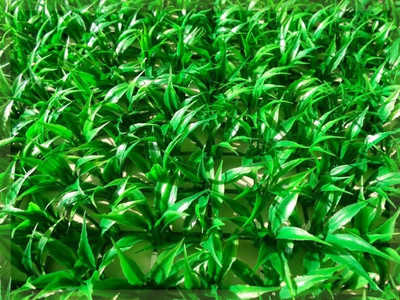 21 阳台地面装饰假草人气热卖榜推荐 淘宝海外