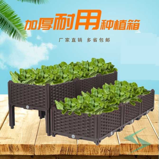水栽培植物 新人首单优惠推荐 21年3月 淘宝海外