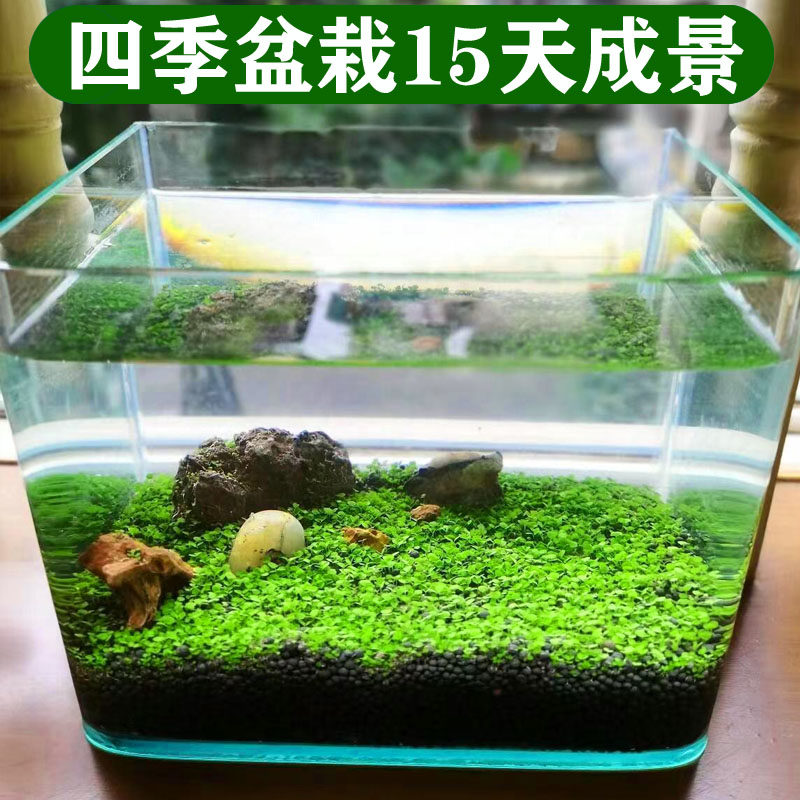 生态玻璃鱼缸小型水草种家用氧气泵增氧机养鱼专用家用打氧机器