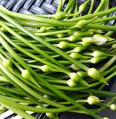 红菜苔蔬菜 新人首单立减十元 21年8月 淘宝海外 红菜苔蔬菜 新人首单立减十元 21年8月 淘宝海外