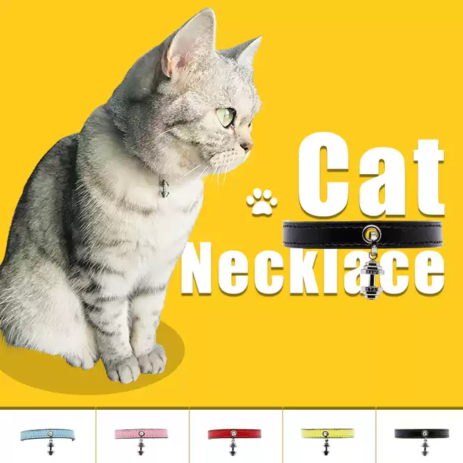 猫狗项圈项链 新人首单优惠推荐 21年3月 淘宝海外