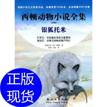 银狐 Google Search