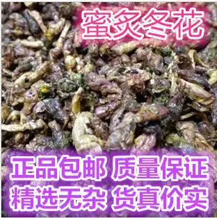 冬花中药功效 冬花中药的功效 冬花中药副作用 的功效与作用 淘宝海外