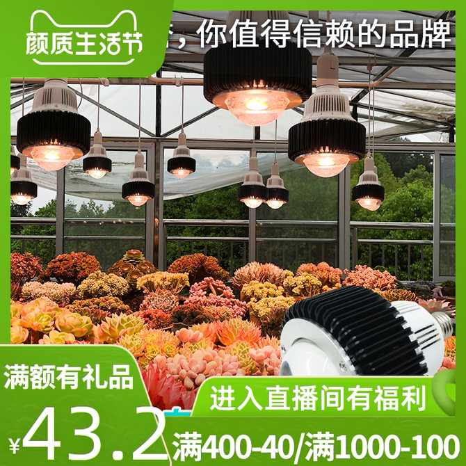 多肉植物上色灯 新人首单优惠推荐 21年4月 淘宝海外