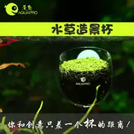 水草造景杯 新人首单优惠推荐 21年6月 淘宝海外