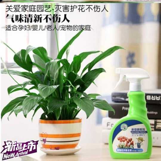 21 盆栽花驱虫人气热卖榜推荐 淘宝海外