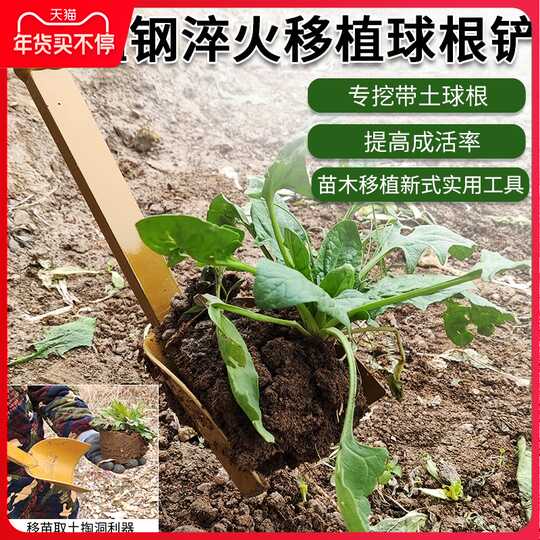 21 球根营养土人气热卖榜推荐 淘宝海外
