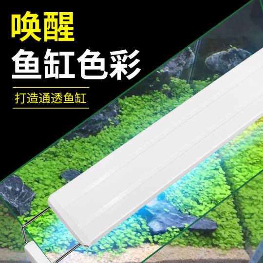 21 绿苔灯人气热卖榜推荐 淘宝海外 21 绿苔灯人气热卖榜推荐 淘宝海外