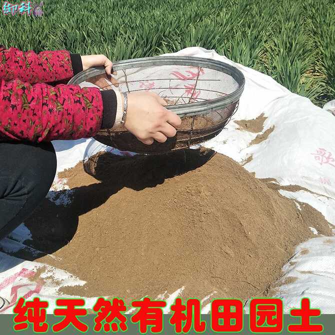 多肉植物泥土 新人首单优惠推荐 21年4月 淘宝海外 多肉植物泥土 新人首单优惠推荐 21年4月 淘宝海外