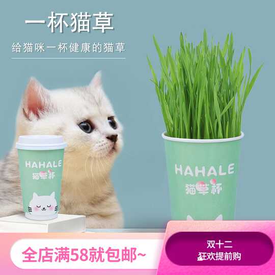 21 猫草套装人气热卖榜推荐 淘宝海外 21 猫草套装人气热卖榜推荐 淘宝海外