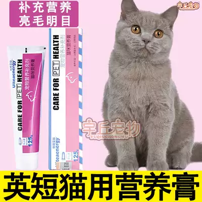 英短蓝白猫新品 英短蓝白猫价格 英短蓝白猫包邮 品牌 淘宝海外