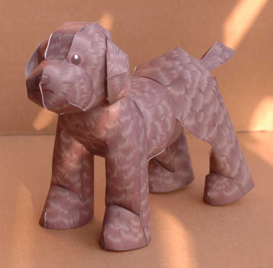 3d宠物设计 3d宠物布置 3d宠物图片 颜色 淘宝海外