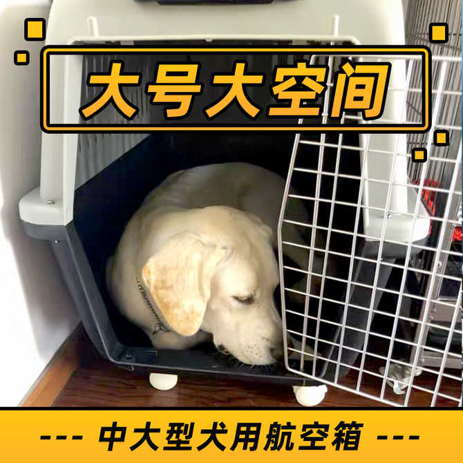 狗狗摩托车 新人首单优惠推荐 21年3月 淘宝海外