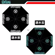 限量版雨伞 新人首单优惠推荐 21年6月 淘宝海外