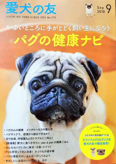 犬友 新人首单优惠推荐 21年3月 淘宝海外 犬友 新人首单优惠推荐 21年3月 淘宝海外
