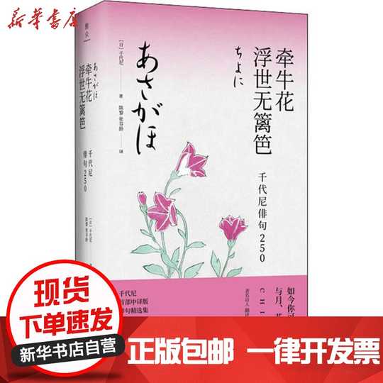 花千代种植 花千代种类 花千代图片 意思 淘宝海外