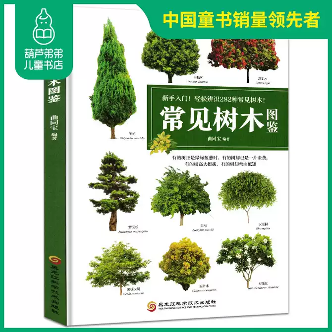 灌木图鉴 新人首单优惠推荐 21年3月 淘宝海外