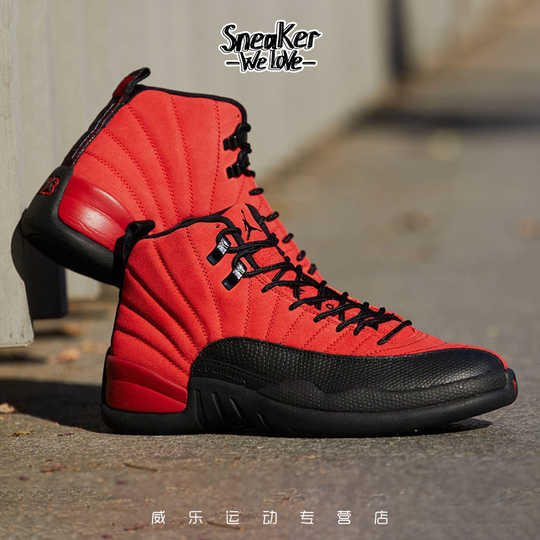 air jordan12