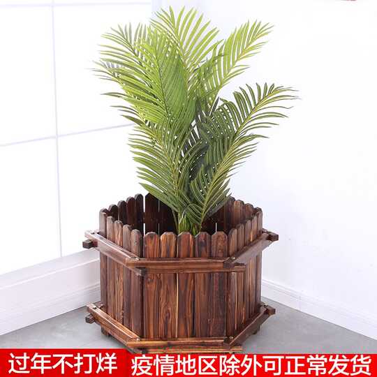 21 种果树大花盆人气热卖榜推荐 淘宝海外