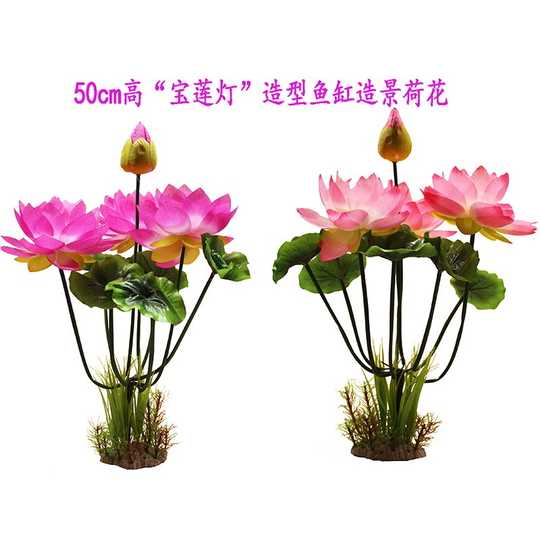 水草及肥料推荐 水草及肥料制作 水草及肥料使用方法 用法 淘宝海外 水草及肥料推荐 水草及肥料制作 水草及肥料使用方法 用法 淘宝海外