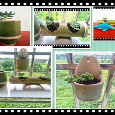 木花盆diy 新人首单优惠推荐 21年6月 淘宝海外