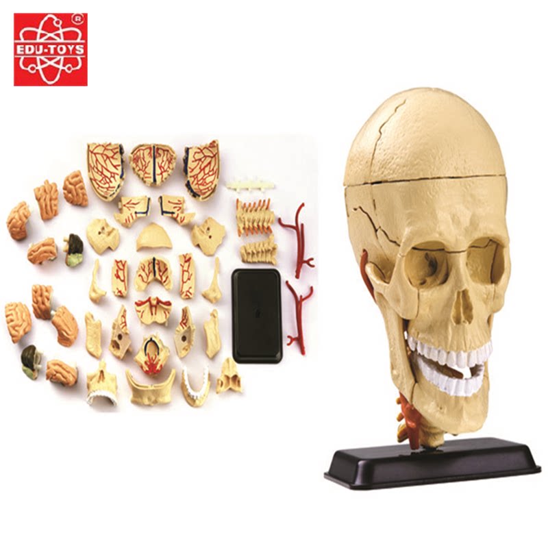 头盖骨 新人首单优惠推荐 21年6月 淘宝海外