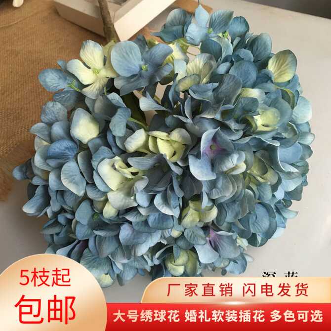 紫阳花假 新人首单优惠推荐 21年4月 淘宝海外