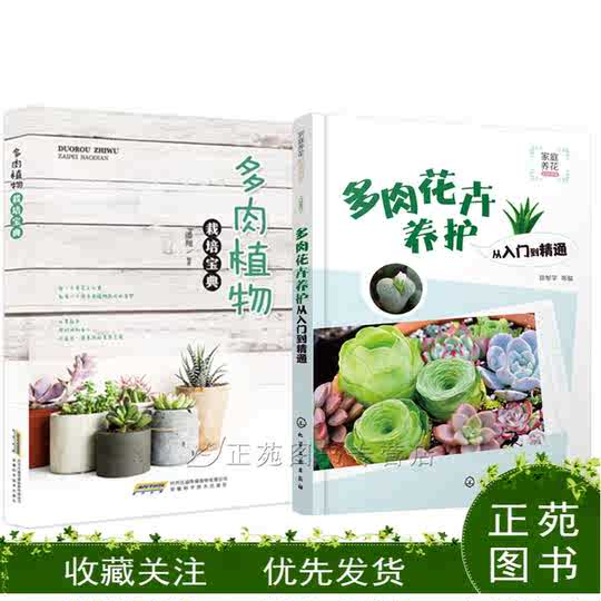 21 多肉植物培养盆人气热卖榜推荐 淘宝海外