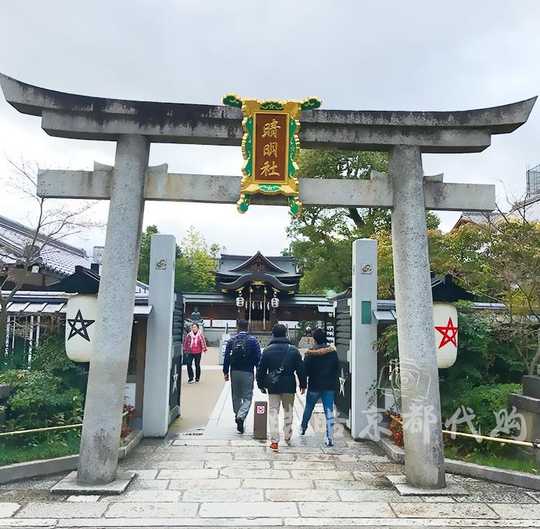 日本神社手链双十一性价比高品牌选购推荐 淘宝海外 日本神社手链双十一性价比高品牌选购推荐 淘宝海外