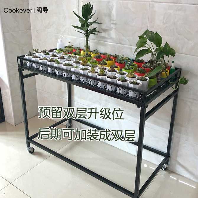 植物棚 新人首单优惠推荐 21年3月 淘宝海外