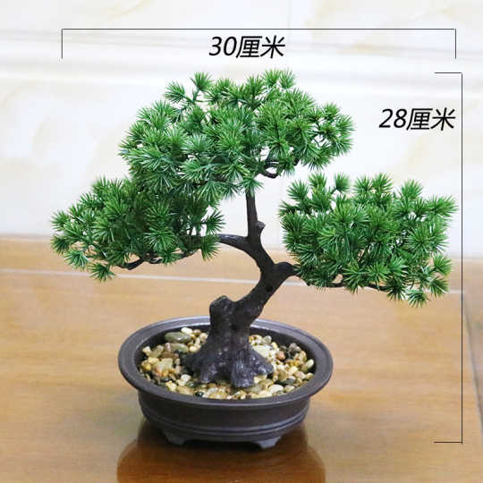 21 黑松盆栽人气热卖榜推荐 淘宝海外 21 黑松盆栽人气热卖榜推荐 淘宝海外