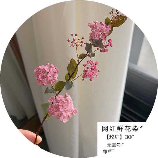 干花染色材料 新人首单优惠推荐 淘宝海外