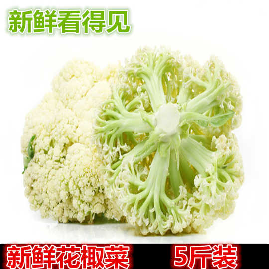 21 花椰菜西兰花人气热卖榜推荐 淘宝海外 21 花椰菜西兰花人气热卖榜推荐 淘宝海外