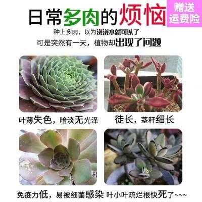 21 多肉营养液肥料人气热卖榜推荐 淘宝海外 21 多肉营养液肥料人气热卖榜推荐 淘宝海外