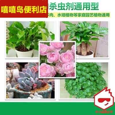 21 室内植物杀虫剂人气热卖榜推荐 淘宝海外