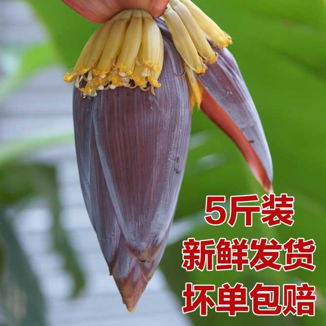 芭蕉花新鲜 新人首单优惠推荐 21年3月 淘宝海外