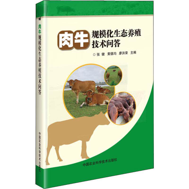 正版肉牛规模化生态养殖技术问答张健编高效养牛技术肉牛育肥促生
