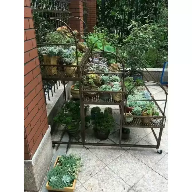 花棚架植物架 新人首单优惠推荐 21年3月 淘宝海外 花棚架植物架 新人首单优惠推荐 21年3月 淘宝海外